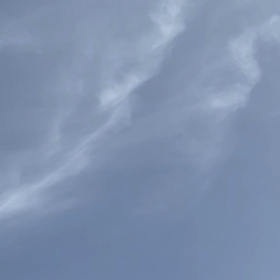 ☆この声は☆の画像