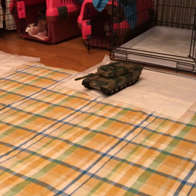 興味なし。の画像