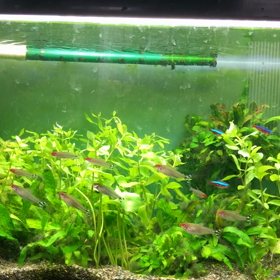 おおそうじの画像