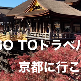 そうだ！京都に行こう❣️の画像