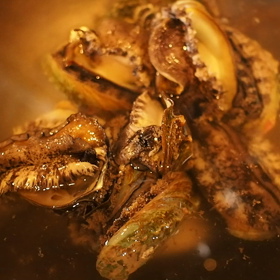 あれれ…？？？？の画像