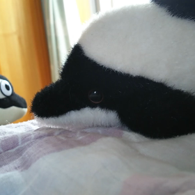 二度見２連発の画像