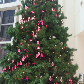 Christmas treeの画像