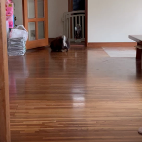 年金生活者の画像