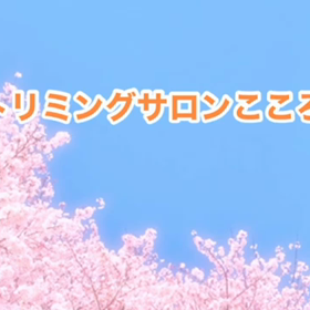 3月　〜スライドショー〜の画像
