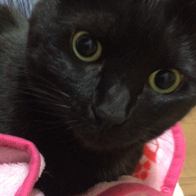 スーパームーンの画像