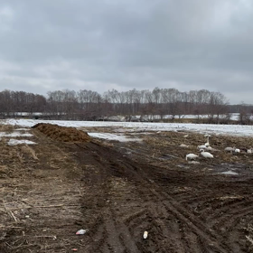 キンジョ注意報の画像