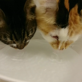 近況報告の画像