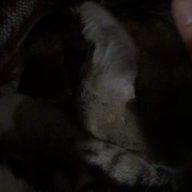 昨今の思うこと‥の画像