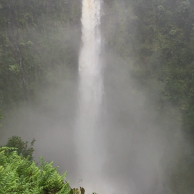 ハワイ島 アカカ滝の画像