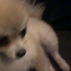 雨の日はまったり。の画像