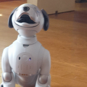 優しいアイボ、りりちゃんの画像