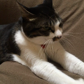 今宵は、、、の画像