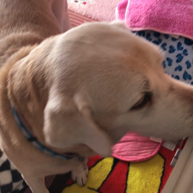 掃除機の時間の画像