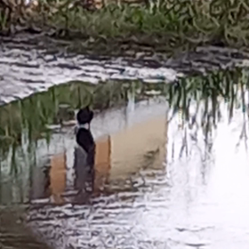 久しぶりのケーキ＼(◎o◎)／！の画像