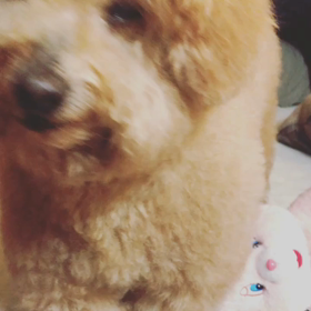 おやつおやつの画像