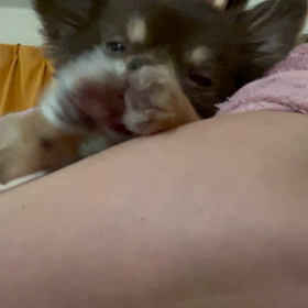 ☆可愛い看護師さん☆の画像