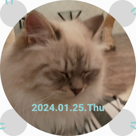 ふわっふわ（動画は音が出ます）の画像