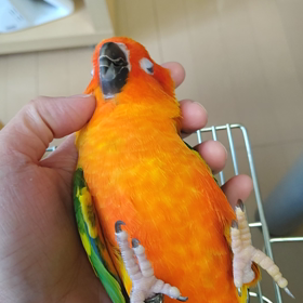 それぞれの日課の画像