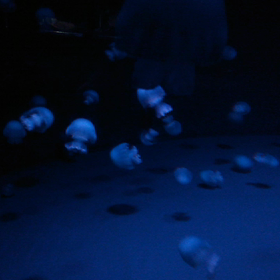 月曜日断食２ヶ月＋８日目(´･･`)の画像