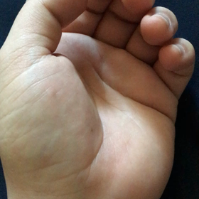 なにが住んでる？？の画像