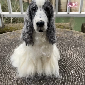 イングリッシュコッカー　動画をアップの画像