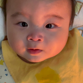おしゃべり陽色くんの画像