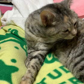 綺麗には時間をかけての画像