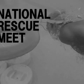 【救助大会】第46回全国消防救助技術大会 - 仙台 2017.8.23 | JAPANの画像