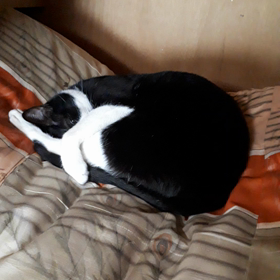 初日終了の画像