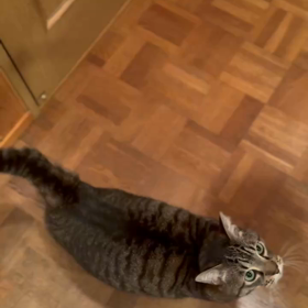 2023年12月25日(月)の画像