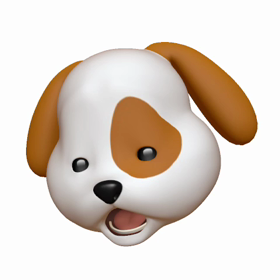 iPhone Xでの画像