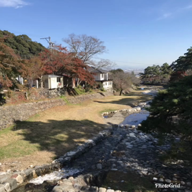 最大級？の画像