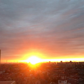 自然の色は癒しの色。の画像