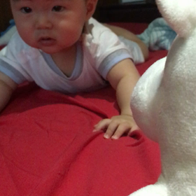 7カ月の画像
