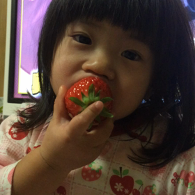 苺販売情報の画像