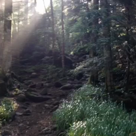 Summer Trip 八ヶ岳⑤の画像