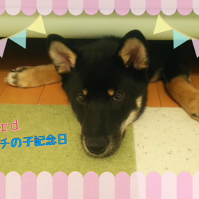 一昨日は…の画像