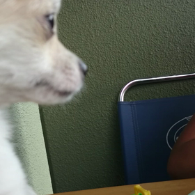 キラキラ……練習中の画像