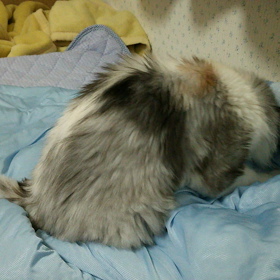 平日簡単更新　二日目の画像