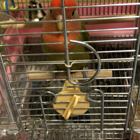 鏡の向こう‼️の画像