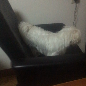 どうぞ、続けてくださいの画像