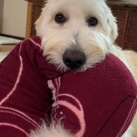 今のお気に入り⭐️の画像