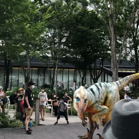 暑いですね。の画像