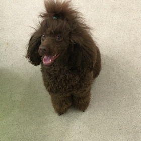 ♪プレイルーム動画♪①の画像