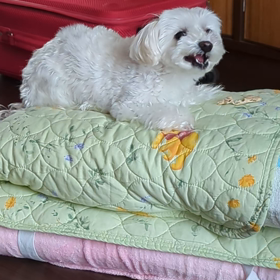 Lunchタイムの画像