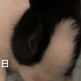 今年もあと2か月だって・・・Σ(- -ノ)ノ エェ!?の画像