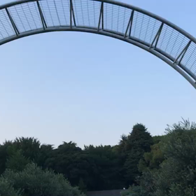 ♪お散歩動画♪代々木公園♪の画像