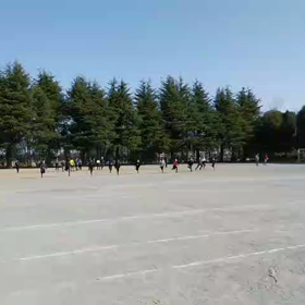 3/11学年別インターバル⑦の画像