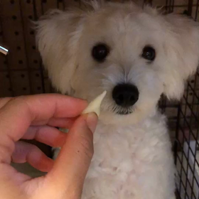 ダメなら見ない〜！の画像